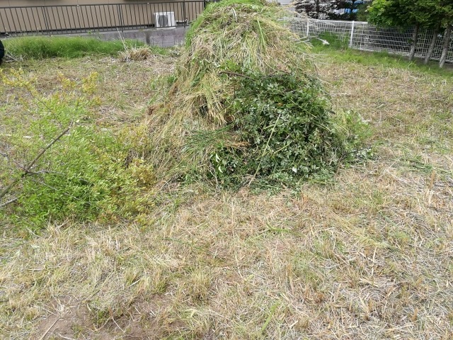 草取り後の雑草の山