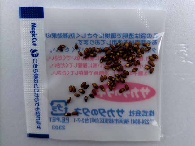 ローズマリーのタネ