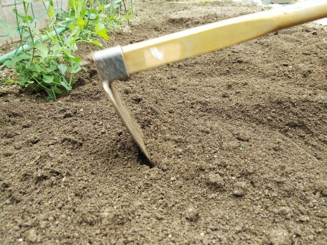 初心者向け 家庭菜園の土作りの方法 楽して楽しむガーデニング