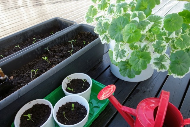 植木鉢とプランター