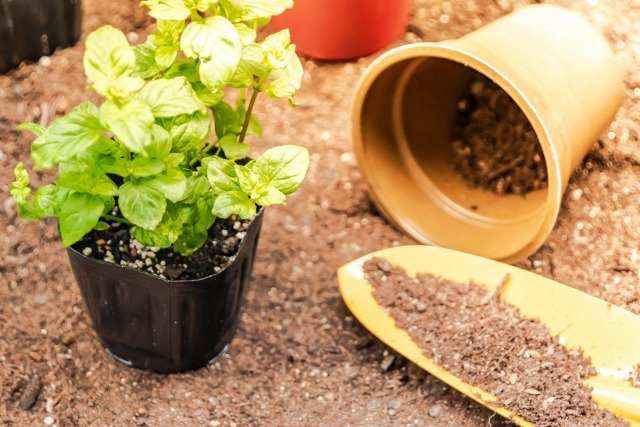 植木鉢と土の容量