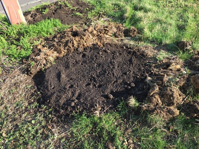 堆肥で土壌改良