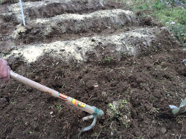 雑草堆肥の作り方！自宅で簡単に作る方法と利用方法は？ 楽して楽しむガーデニング