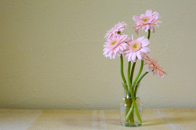 ピンクのガーベラの花