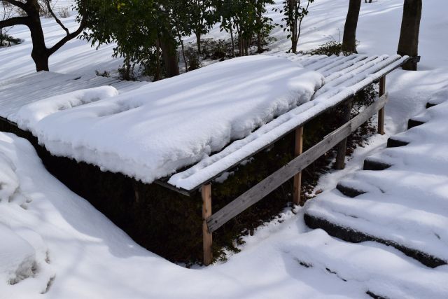 雪囲い