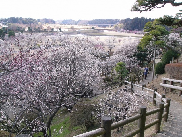 水戸偕楽園