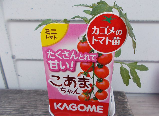 袋栽培で野菜を育てる方法は 培養土の入った袋を使ったミニトマトの栽培記録 楽して楽しむガーデニング